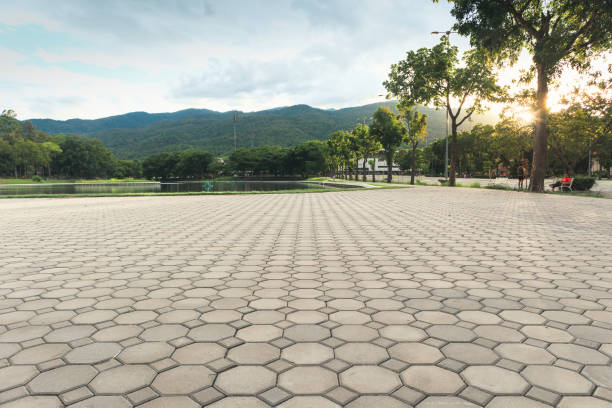 Best Residential Paver Driveway  in Fox Island, WA